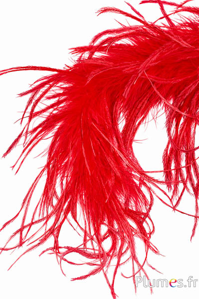 Struisvogel lont fijn - 10 cm - rood
